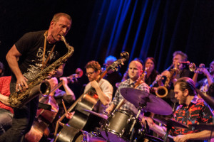 Ljubljana Jazz Festival 2015: Program